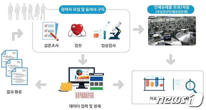 본문 이미지 - 한국인유전체역학조사 사업체계/질병관리청 제공