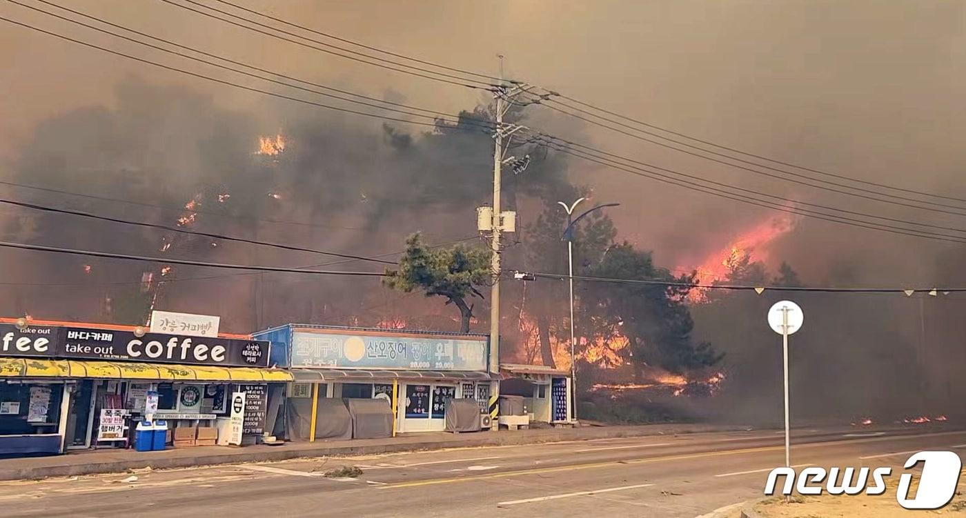 11일 오전 강원도 강릉시 난곡동 한 야산에서 산불이 발생해 검은 연기가 피어오르고 있다. (소방청 제공) 2023.4.11/뉴스1