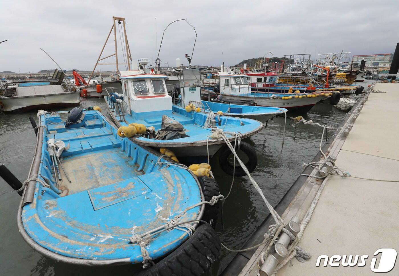 본문 이미지 - 강풍주의보로 발 묶인 어선들(사진은 기사 내용과 무관함) / 뉴스1 ⓒ News1