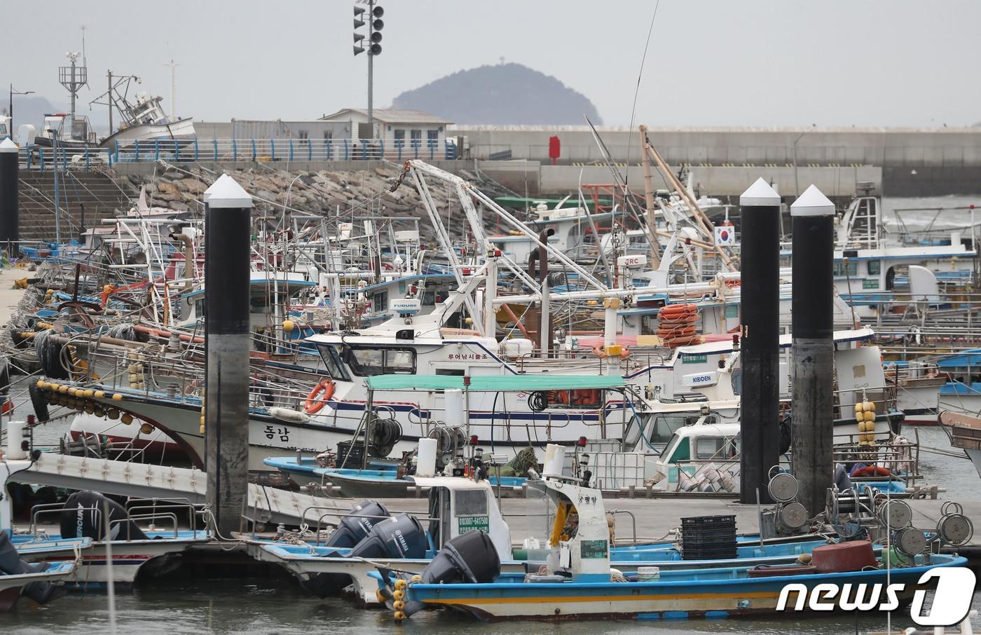 본문 이미지 - 항구에 정박해 있는 어선 자료 사진.2023.12.06/뉴스1 ⓒ News1