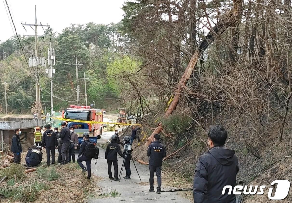 본문 이미지 - 산림청 중앙산불방지대책본부는 11일 08시 30분 강원도 강릉시 난곡동 일원에서 발생한 산불의 원인을 강풍으로 나무가 쓰러지면서 전선을 덮쳐 단선되어 불꽃을 일으킨 것으로 추정하고 정확한 원인을 조사하고 있다. (산림청 제공) 2023.4.11/뉴스1