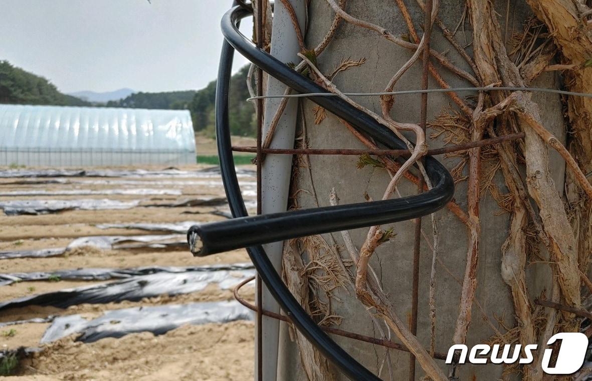 본문 이미지 - 산림청 중앙산불방지대책본부는 11일 08시 30분 강원도 강릉시 난곡동 일원에서 발생한 산불의 원인을 강풍으로 나무가 쓰러지면서 전선을 덮쳐 단선되어 불꽃을 일으킨 것으로 추정하고 정확한 원인을 조사하고 있다.  (산림청 제공) 2023.4.11/뉴스1
