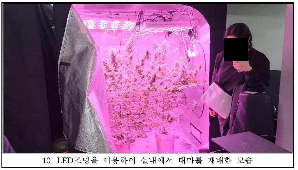 본문 이미지 - (서울중앙지검 제공) ⓒ 뉴스1