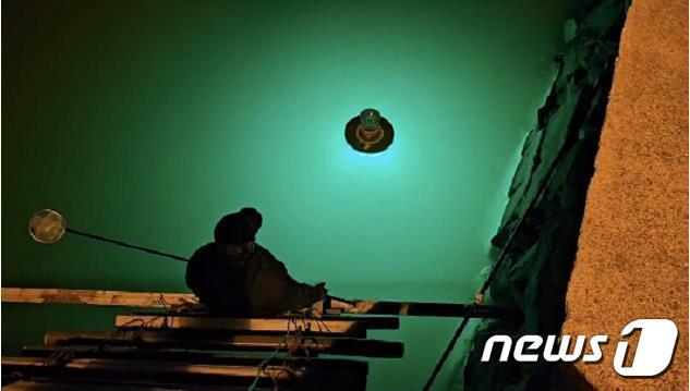 본문 이미지 - LED 집어등 이용 실뱀장어를 불법 포획 장면(사천해경 제공).