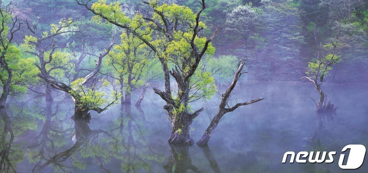본문 이미지 - 주왕산(환경부 제공) ⓒ 뉴스1