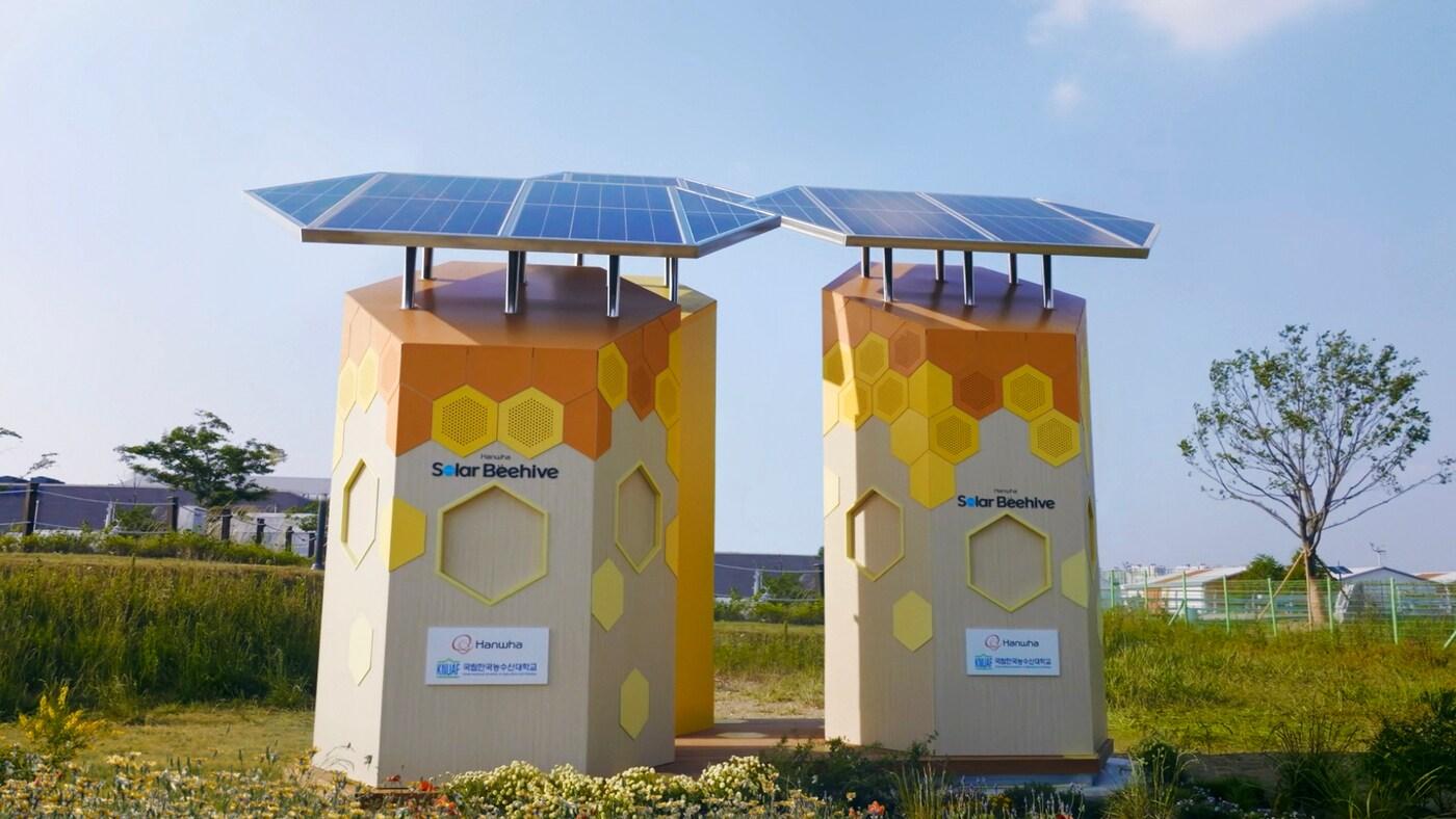  솔라비하이브 캠페인(이노션 제공)