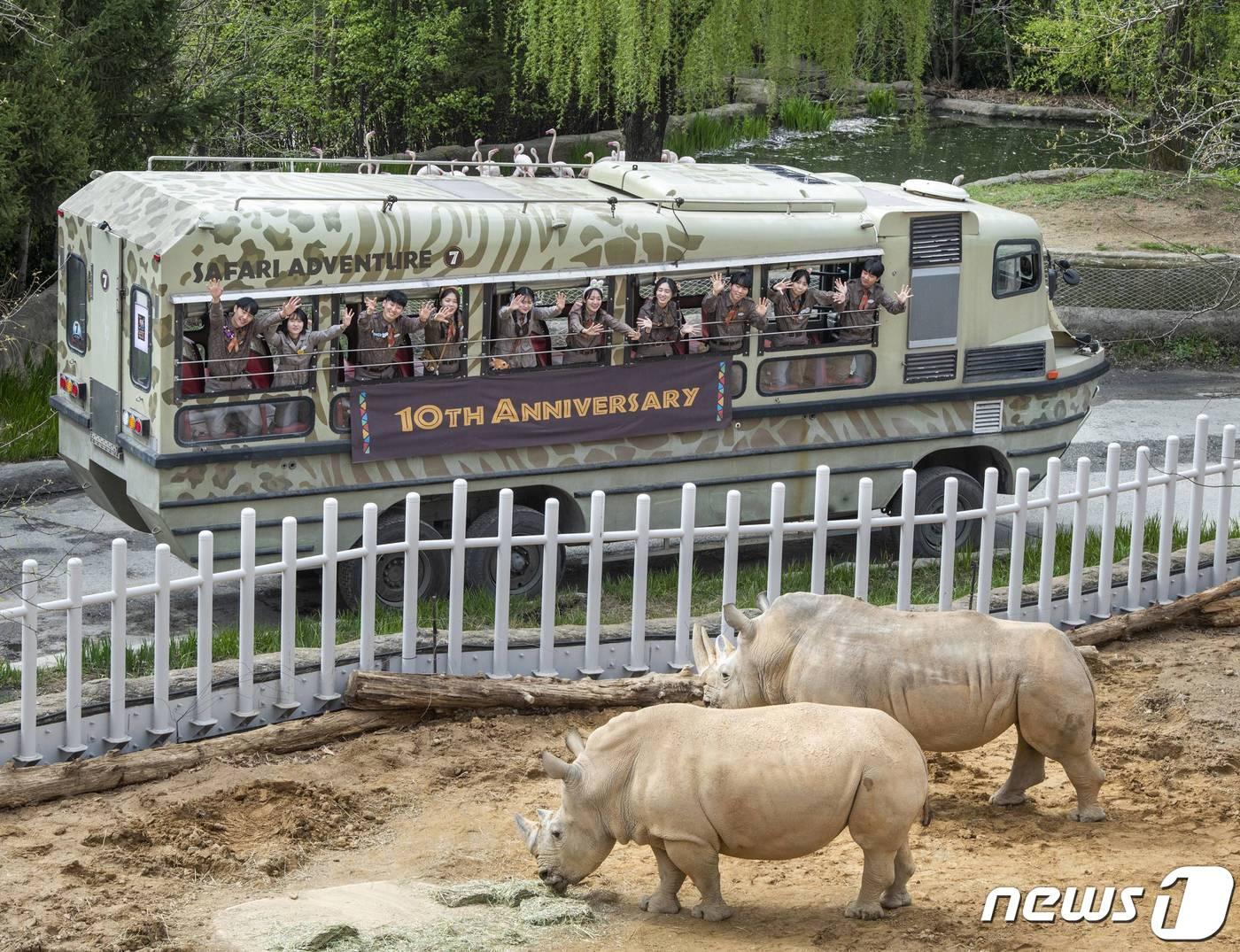 본문 이미지 - 생태형 사파리 로스트밸리(에버랜드 제공)