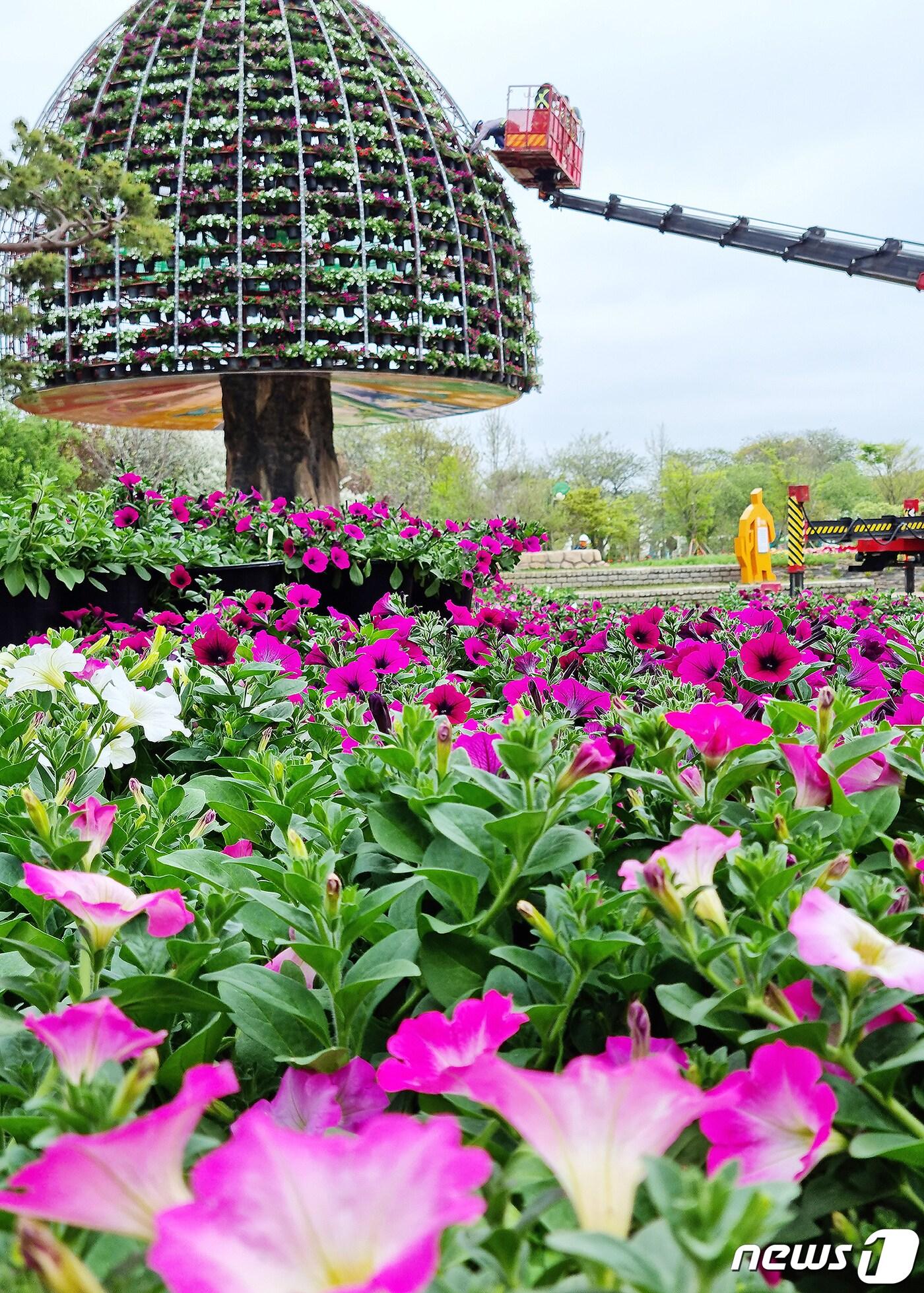 본문 이미지 - 전남 함평군이 제25회 함평나비축제를 앞두고 엑스포공원 주제관 앞에 대형 꽃탑을 설치하고 있다. (뉴스1)2023.4.19./뉴스1