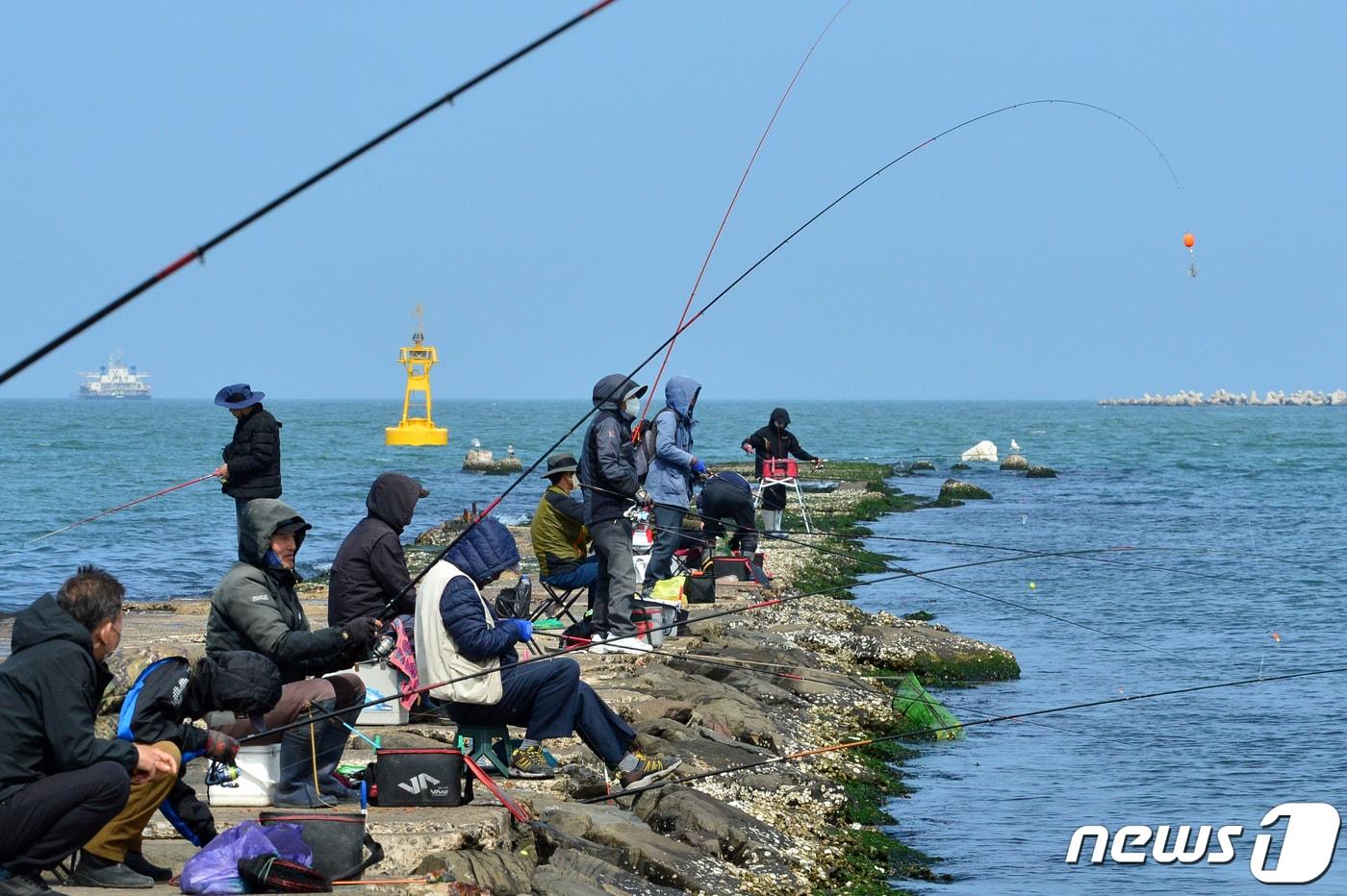 뉴스1 ⓒ News1 최창호 기자