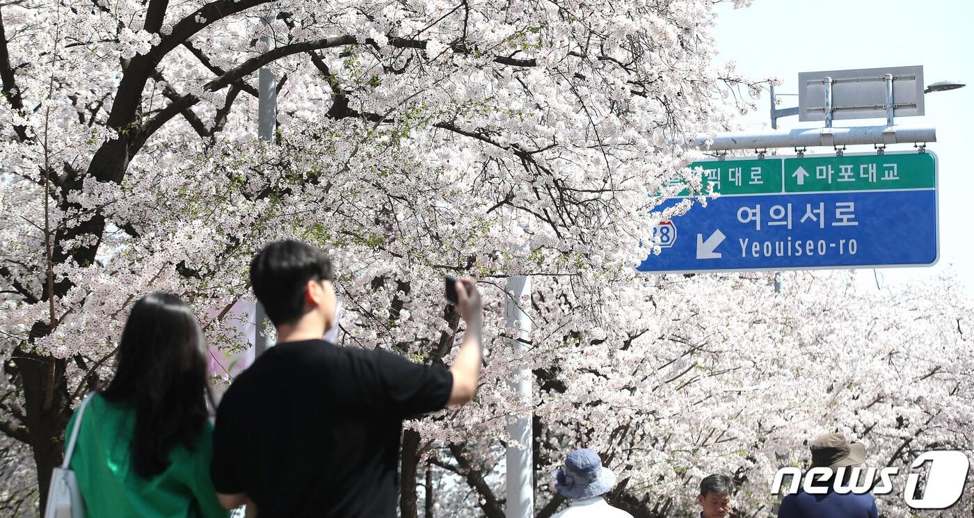 본문 이미지 - (자료사진) /뉴스1 ⓒ News1 임세영 기자