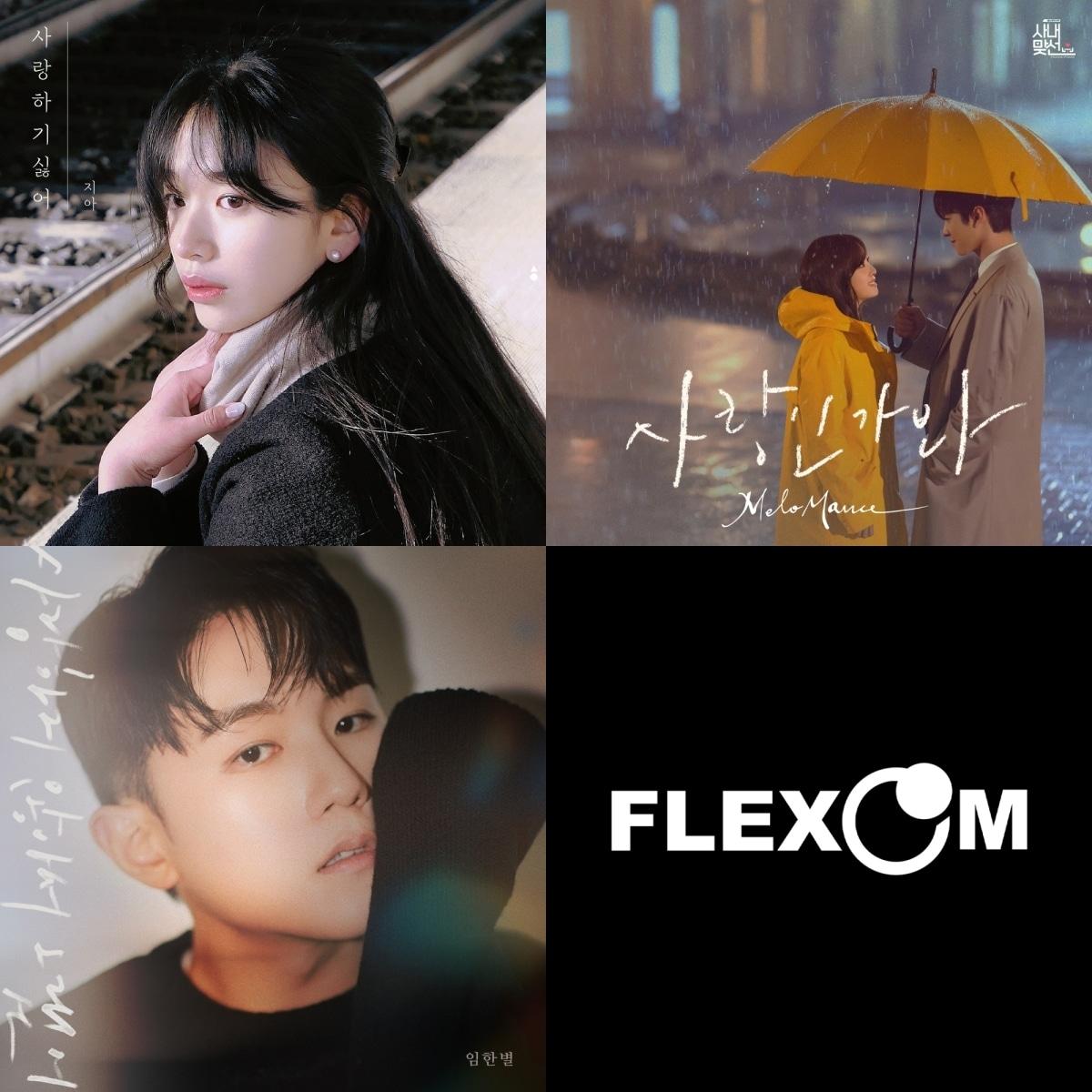 본문 이미지 - 플렉스엠