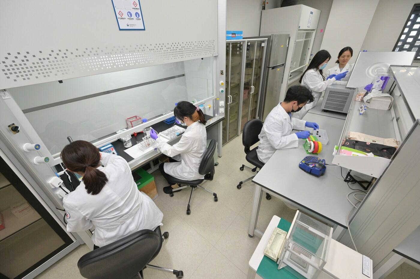 본문 이미지 - 가속질량분석기(AMS) 화학처리 전 실험실의 모습. (국립문화재연구원 제공) 