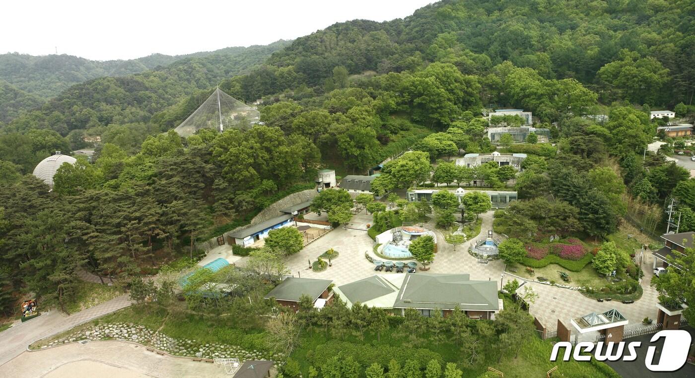 본문 이미지 - 충북 청주동물원 전경./뉴스1