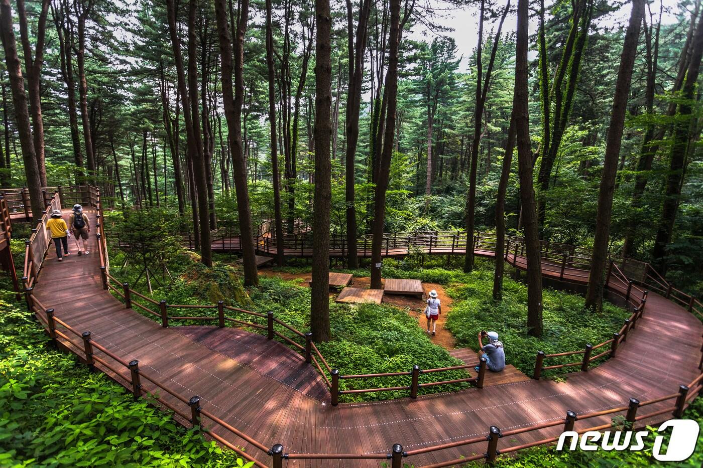 숲길 힐링_박윤준(녹색자금 사진공모전 수상작)