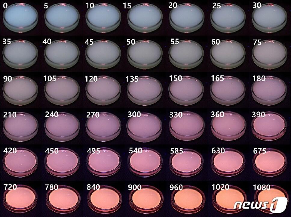 본문 이미지 - 자외선 조사 시간에 따른 필름 색 변화.(부경대학교 제공)