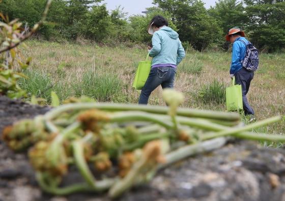 본문 이미지 - 자료사진/뉴스1