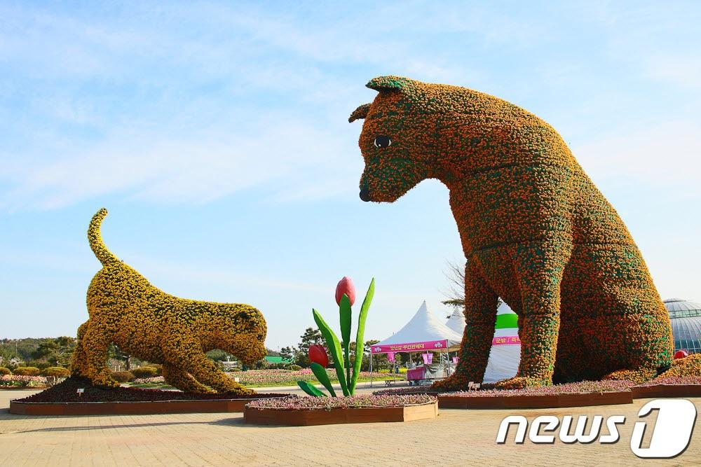 본문 이미지 - 코리아플라워파크의 댕댕이가족의 행복한 일상(태안군 제공)