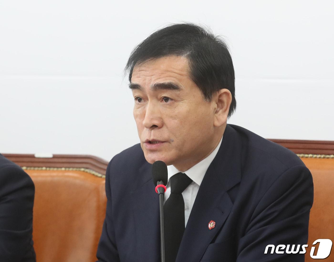 본문 이미지 - 태영호 국민의힘 최고위원. ⓒ News1 송원영 기자