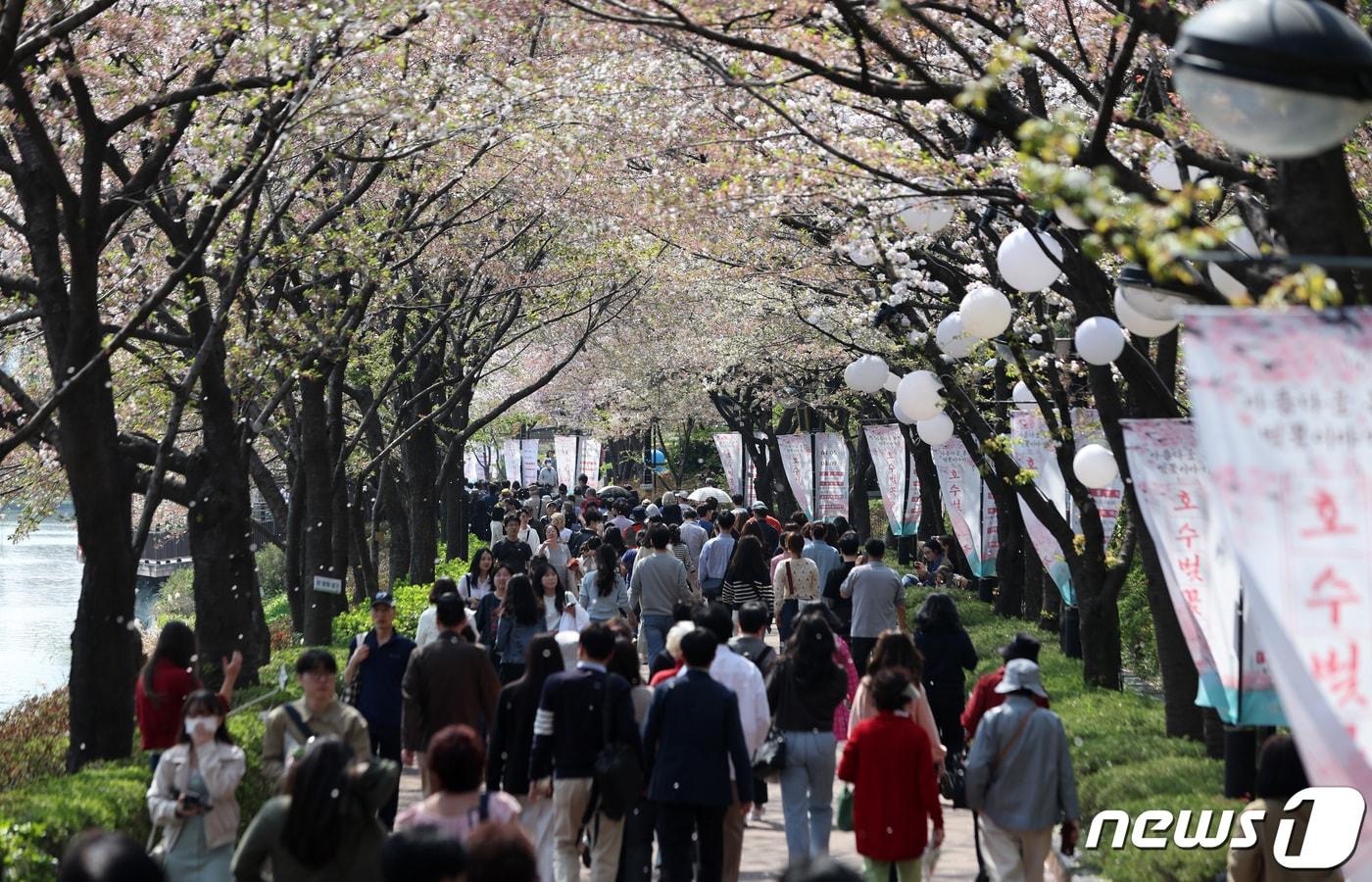 3일 오후 서울 송파구 석촌호수를 찾은 시민들이 꽃놀이를 즐기고 있다. 2023.4.3/뉴스1 ⓒ News1 구윤성 기자