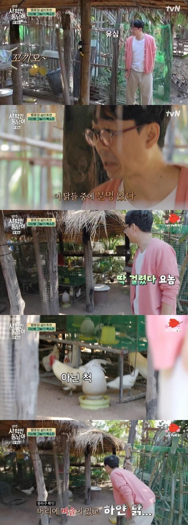 본문 이미지 - tvN '아주 사적인 동남아' 캡처