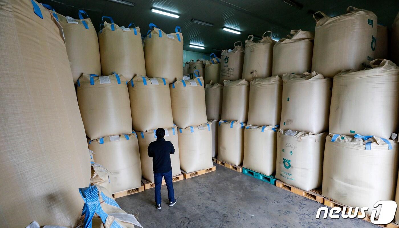 용인시 농협쌀조합공동사업법인 미곡종합처리장 저온창고에서 직원이 수매 후 보관 중인 쌀을 살펴보는 모습. (사진은 기사 내용과 무관함) 2023.4.4/뉴스1 ⓒ News1 김도우 기자