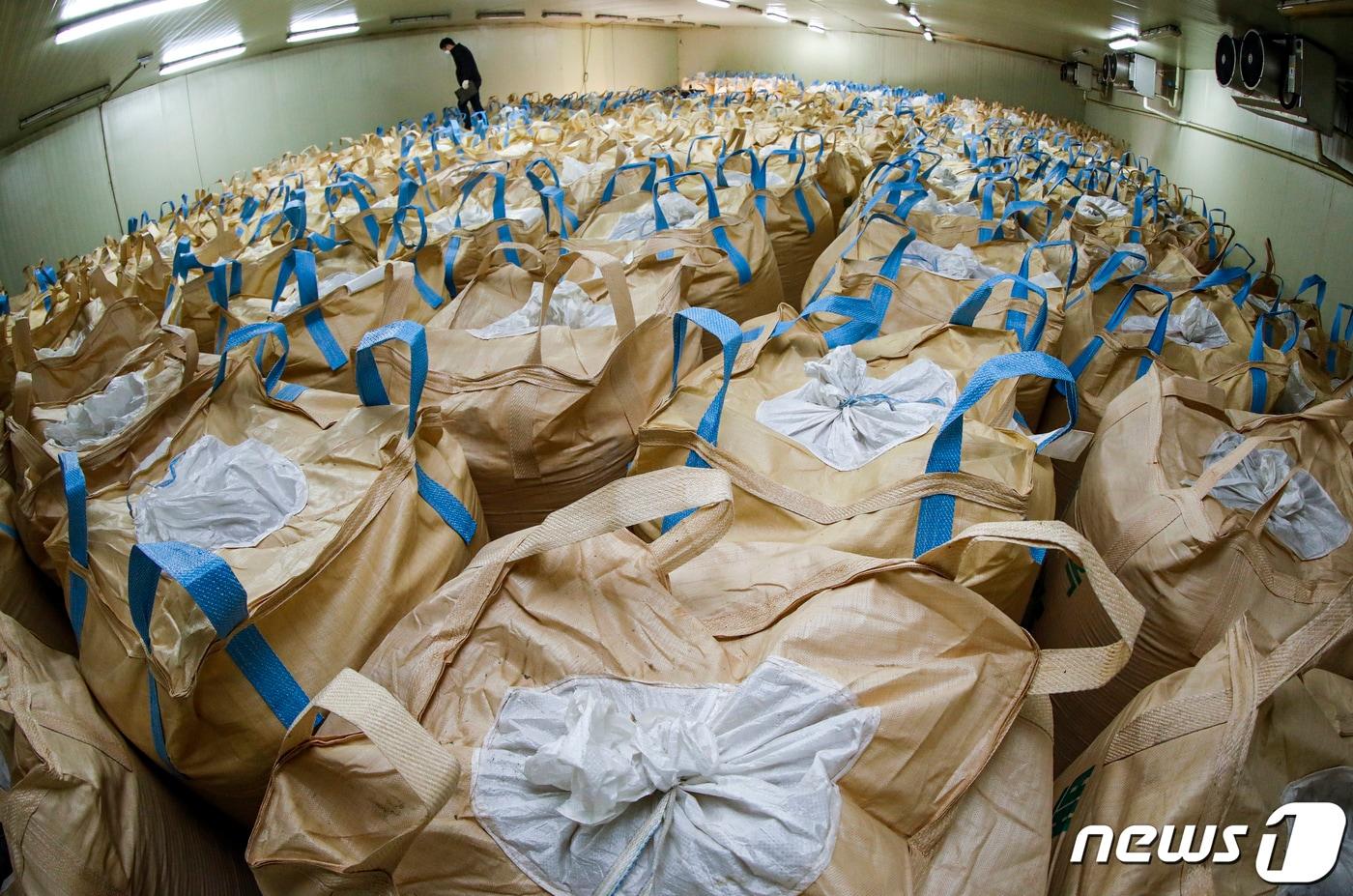 본문 이미지 - 용인시 농협쌀조합공동사업법인 미곡종합처리장 저온창고에서 직원이 수매 후 보관 중인 쌀을 살펴보는 모습. 2023.4.4/뉴스1 ⓒ News1 김도우 기자