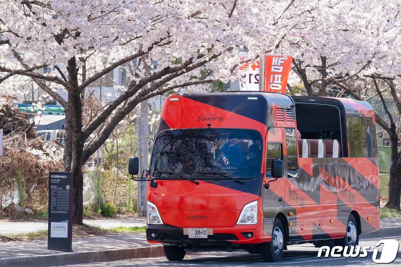 본문 이미지 - 대구 명소인 수성못~들안길 먹거리타운을 운행하는 수성투어버스 모습.(대구 수성구청 제공)/뉴스1