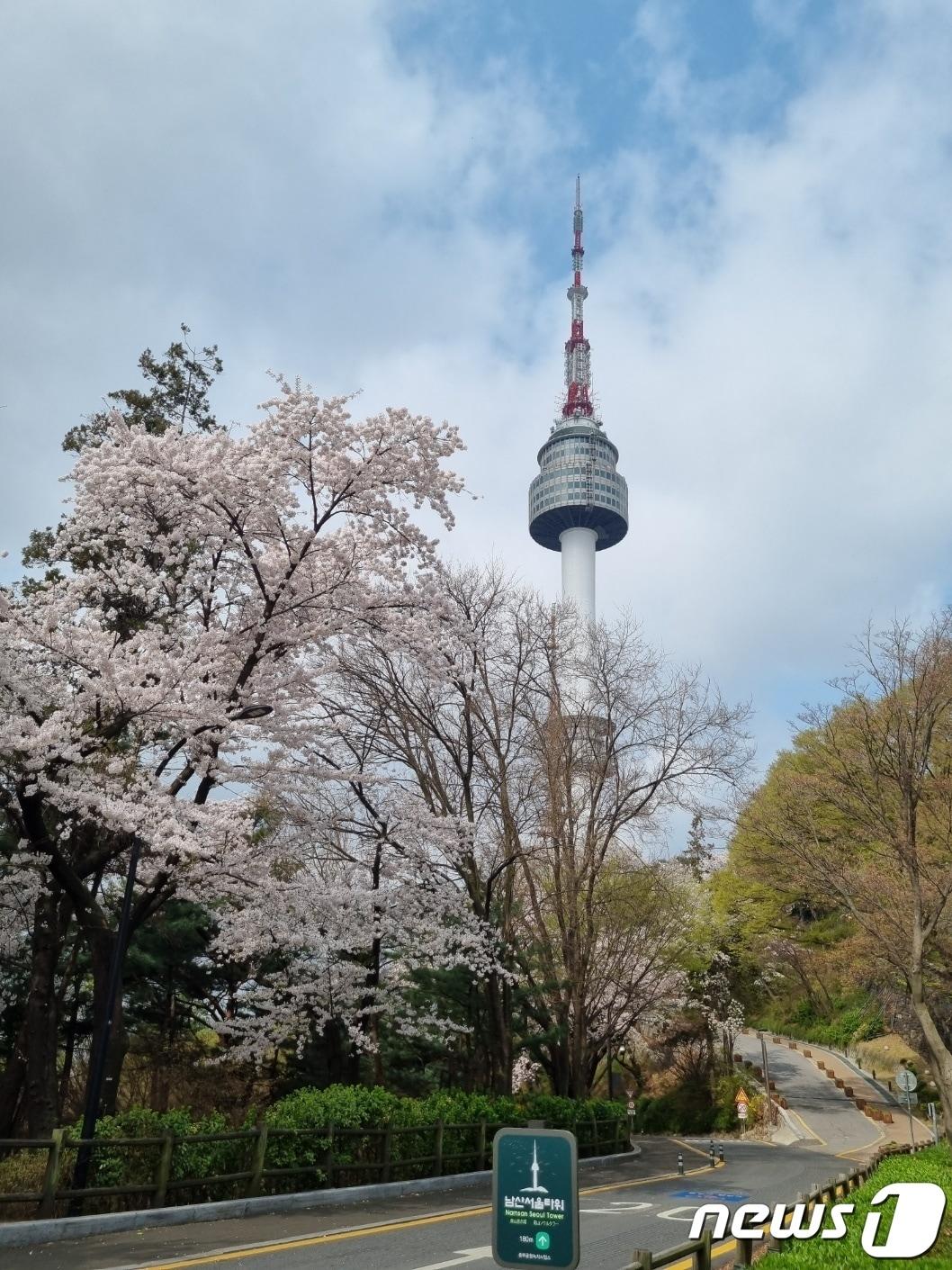 본문 이미지 - N서울타워 전경(CJ푸드빌 제공)