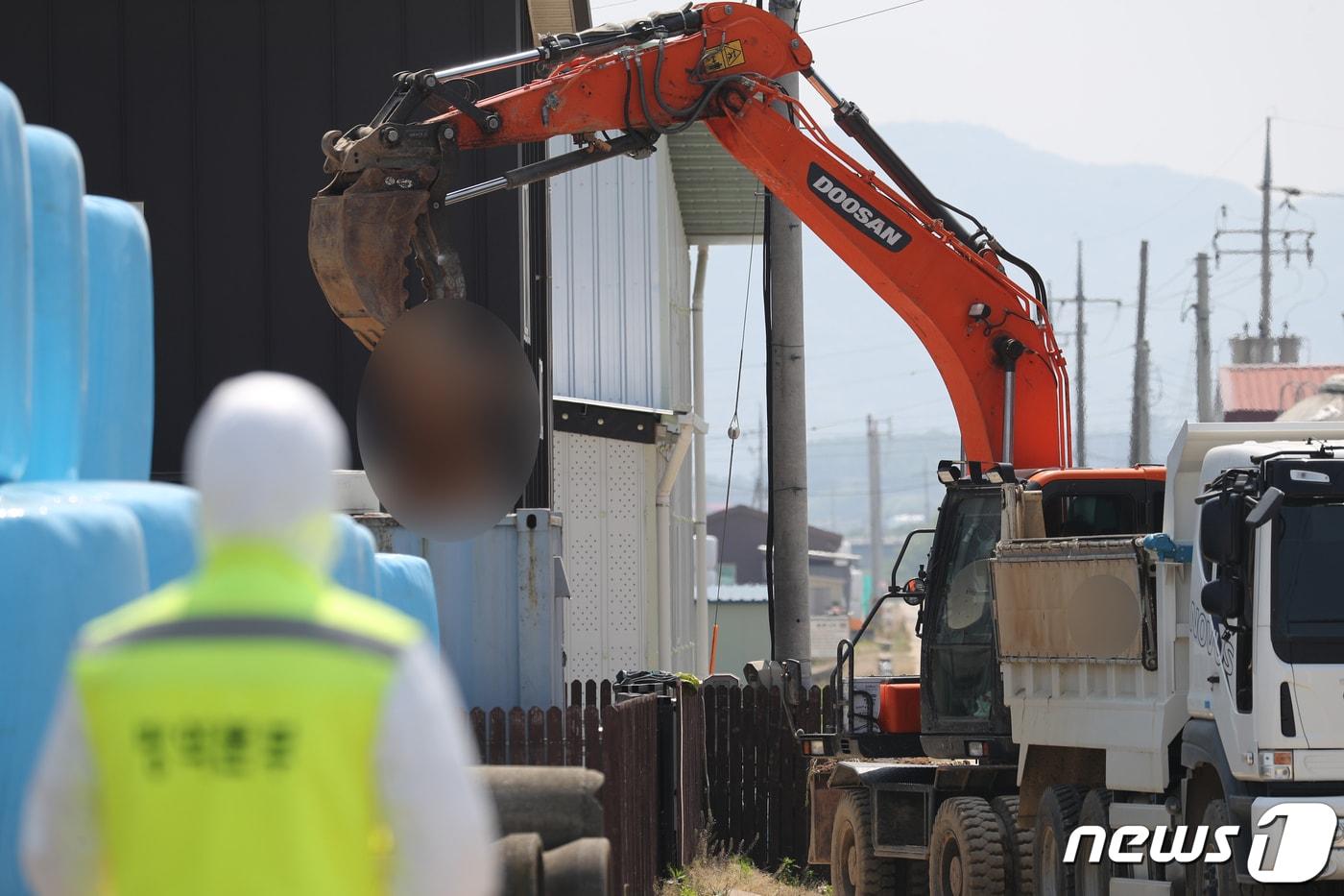 11일 오전 충북 청주시 청원구 북이면 구제역 확진 한우 농가에서 방역당국 관계자들이 소 매몰 작업을 하고 있다.  2023.5.11/뉴스1 ⓒ News1 김용빈 기자