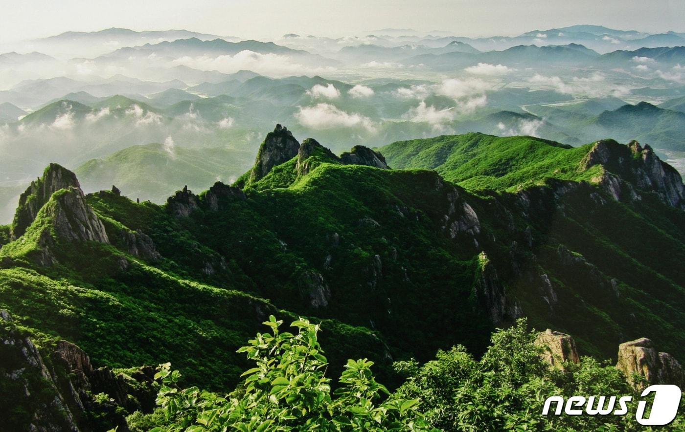 본문 이미지 - 영암 월출산 (영암군 제공)/뉴스1 ⓒ News1