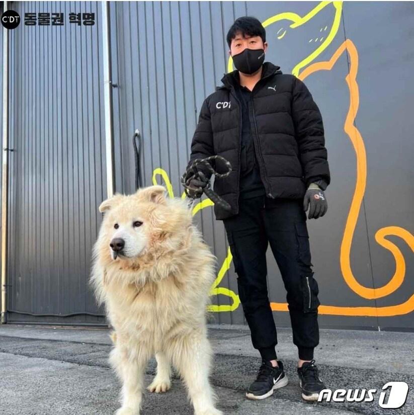 본문 이미지 - 동물권 보호단체 캣치독팀은 경기 남양주시에서 50대 여성을 습격해 숨지게 한 개를 남양주시로부터 인계받아 보호하고 있다. (캣치독팀 제공) 