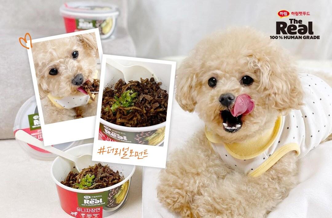 본문 이미지 - (하림펫푸드 제공) /뉴스1