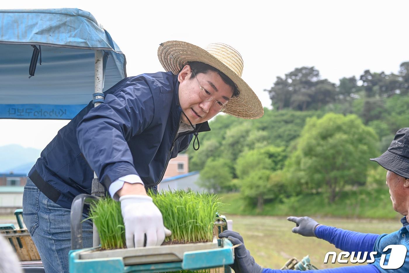 본문 이미지 - 원강수 강원 원주시장이 12일 오전 원주시 흥업면 흥업리에서 열린 농촌지도자 모내기행사에 참여한 가운데, 이날 원 시장이 모판을 나르고 있다. (원주시 제공) 2023.5.12/뉴스1