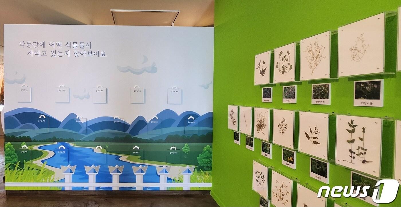 본문 이미지 -  사상생활사박물관에서 열리고 있는 생태전시 '낙동강 우리가 지켜줄게' (부산 사상구 제공)