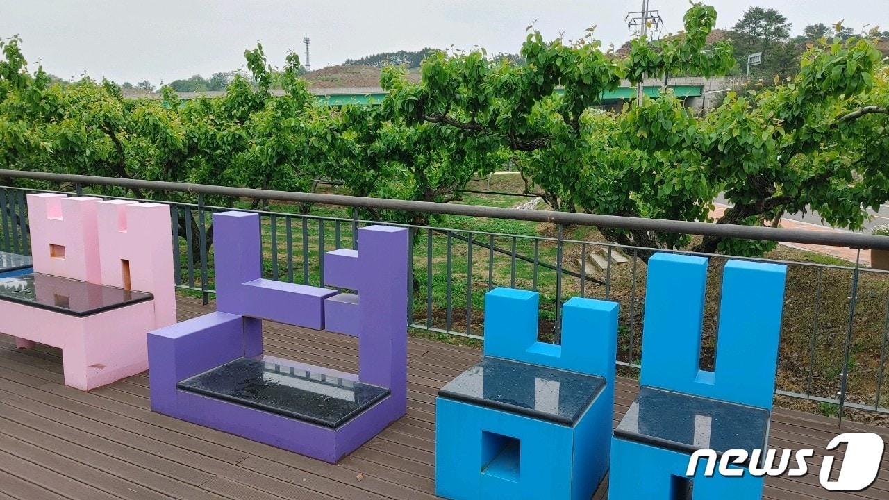 본문 이미지 - 충북 영동군 영동읍 소재 과일나라테마공원 내 백년배 재배단지 /뉴스1 장인수 기자 