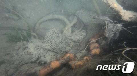 본문 이미지 - 복원 전 해초지 (환경부 제공) ⓒ 뉴스1