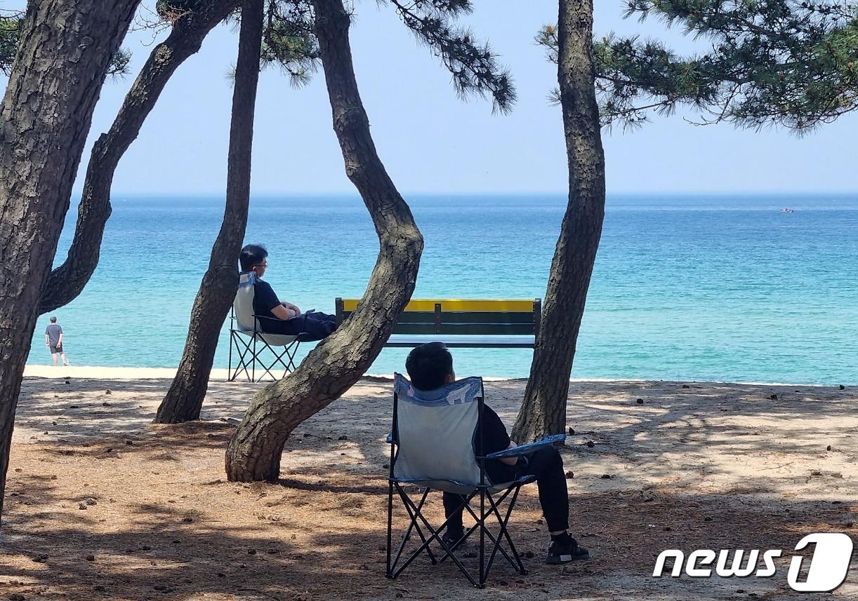 본문 이미지 - 기사 이해를 돕기 위한 강원 강릉시 송정해변 자료 사진으로 기사 내용과 직접 관련 없음. ⓒ 뉴스1 