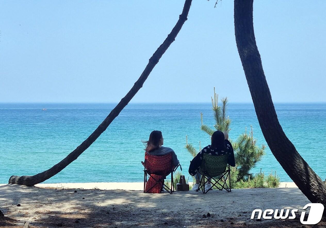 본문 이미지 - 강원 강릉지역 낮 최고기온이 35도를 넘긴 16일 강원도 강릉 송정해변을 찾은 관광객들이 솔밭 그늘에서 무더위를 날리고 있다. 2023.5.16/뉴스1 ⓒ News1 윤왕근 기자