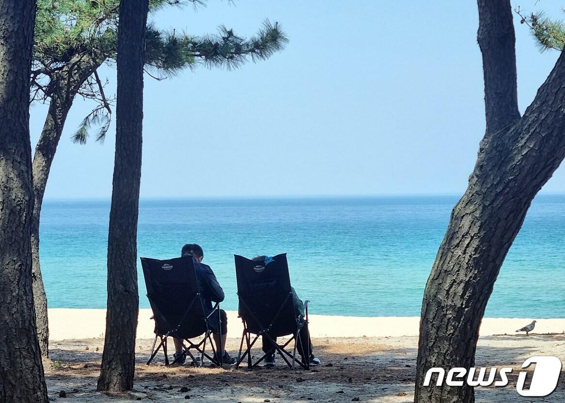 본문 이미지 - 강원 강릉 송정해변 솔밭 그늘에서 무더위를 날리는 시민.(뉴스1 DB) ⓒ News1 윤왕근 기자