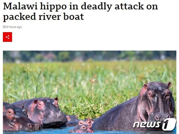 본문 이미지 - 해당 기사 - BBC 갈무리