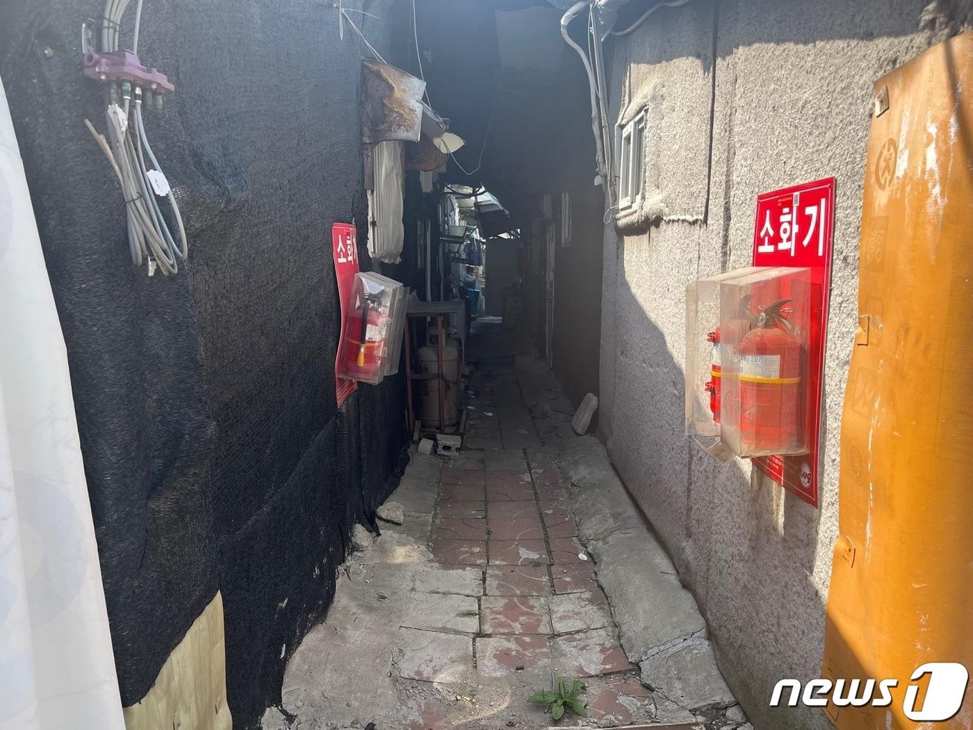 본문 이미지 - 때이른 더위가 찾아온 17일 서울 송파구 '화훼마을' 모습.ⓒ 뉴스1