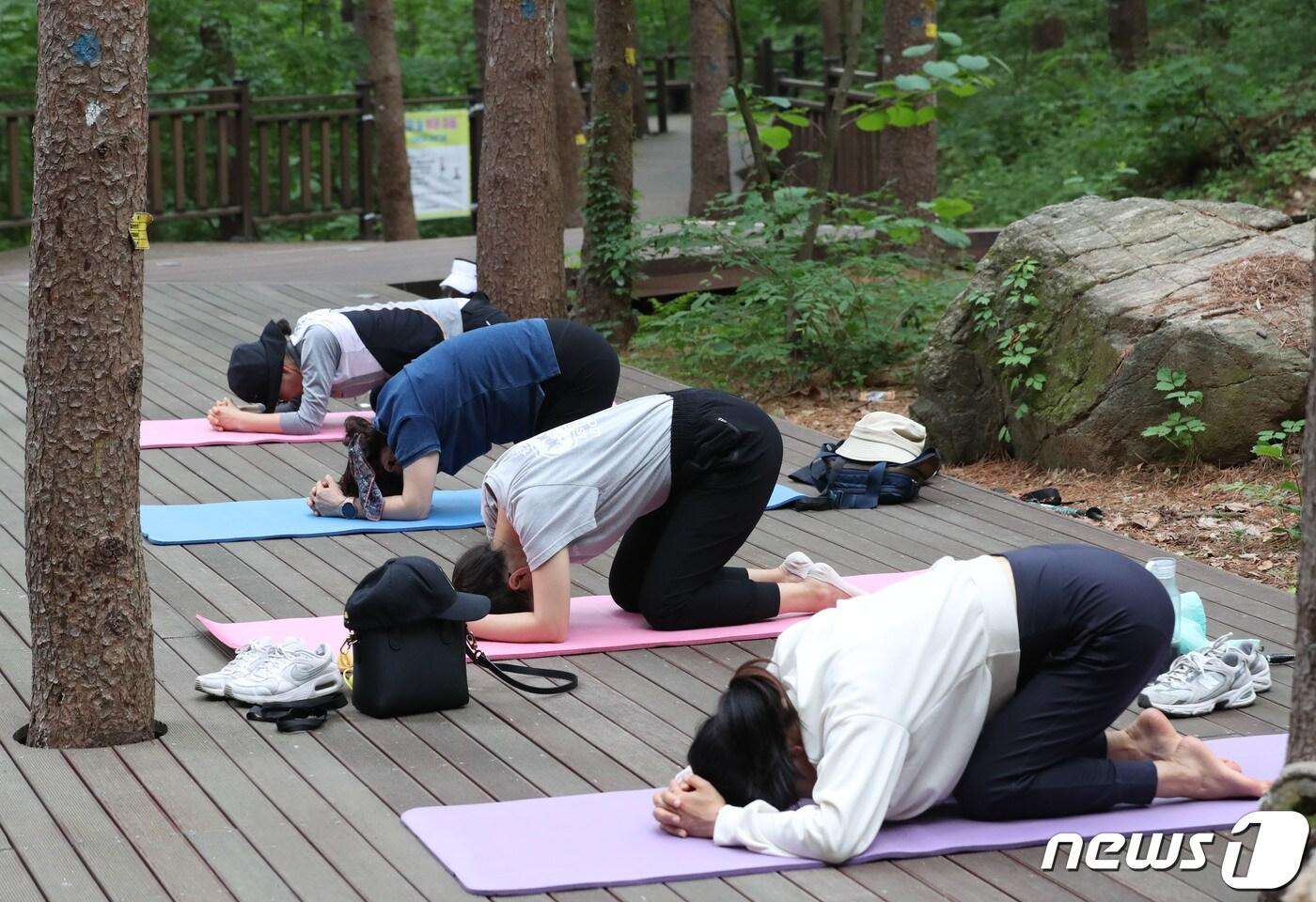 시민들이 '산림치유 프로그램' 중 하나인 요가 수업을 받고 있다. (사진은 기사내용과 무관) 뉴스1 ⓒ News1 김영운 기자