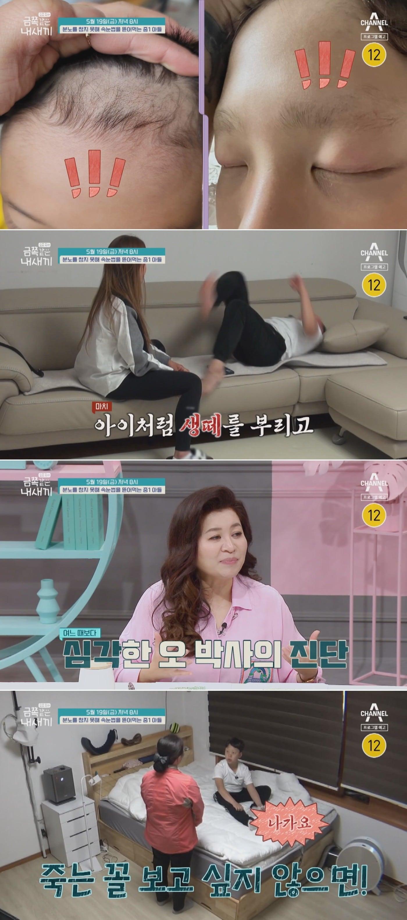 본문 이미지 - 채널A