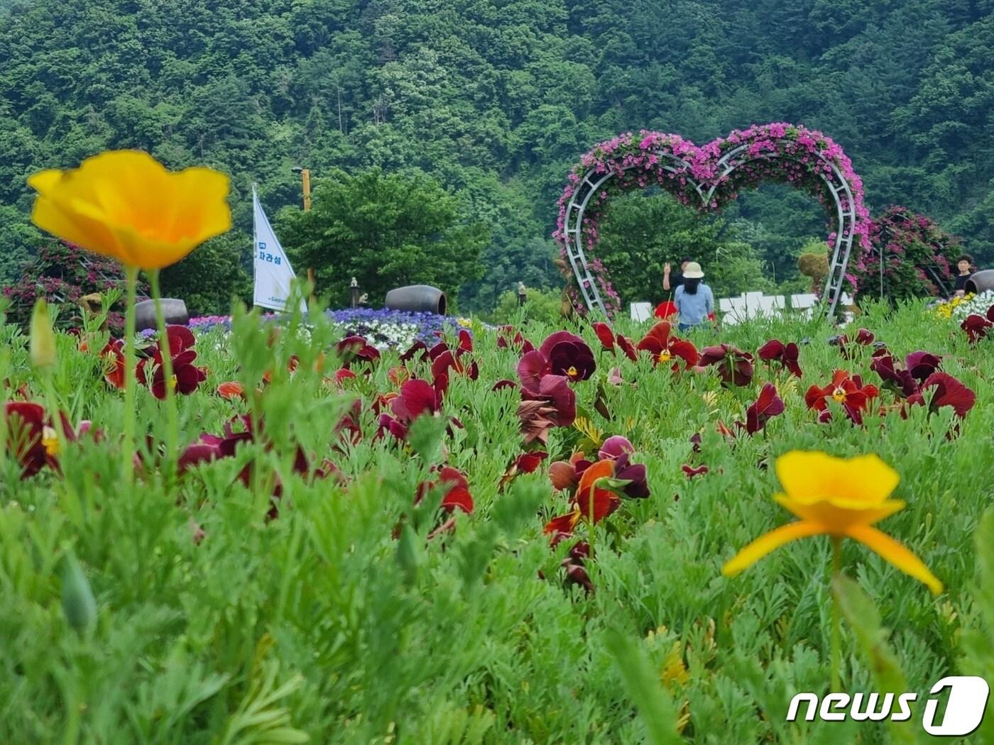 본문 이미지 - 꽃들 너머 포토존에 한 여성이 앉아 기념사진을 찍고 있다.2023.5.20./뉴스1 양희문 기자