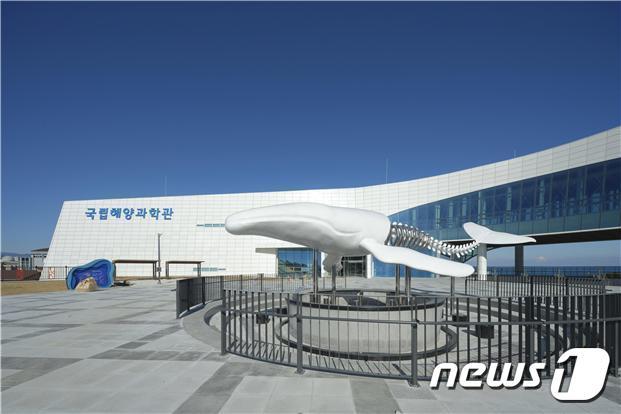 본문 이미지 - 국립해양과학관(해양수산부 제공)