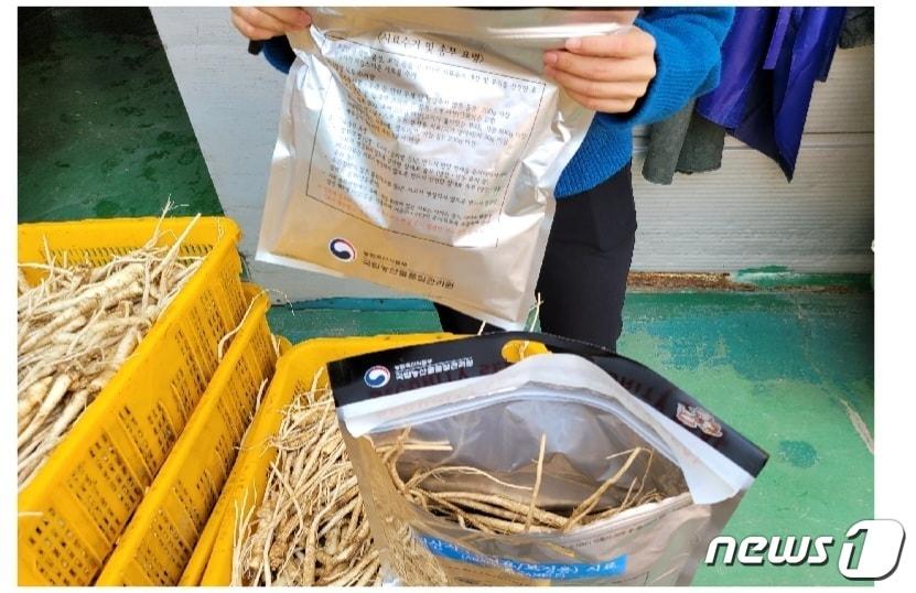 본문 이미지 - 도라지 원산지 검정용 시료 채취 장면(국립농산물품질관리원 경북지원 제공)