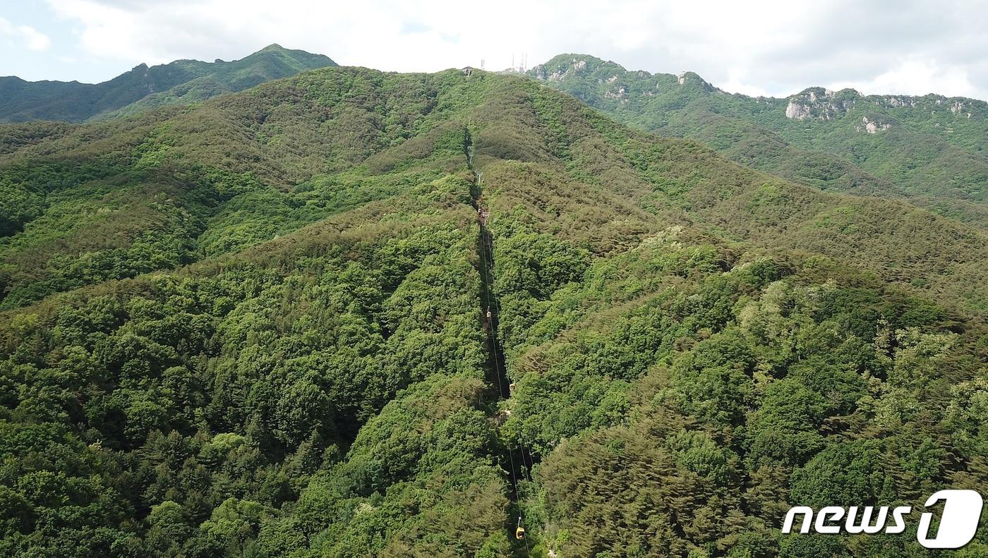팔공산 전경. (사진은 기사 내용과 무관함) / 뉴스1 ⓒ News1
