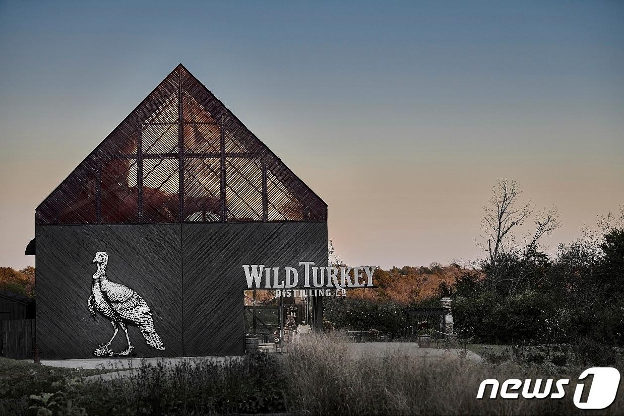 본문 이미지 - (트랜스베버리지 제공)