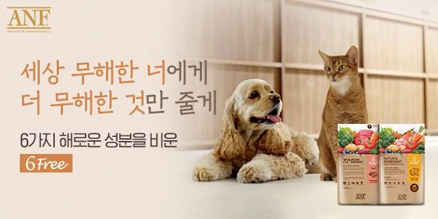 본문 이미지 - 우리와주식회사 대표 브랜드 ANF 대표 제품 식스프리(우리와 제공) /뉴스1