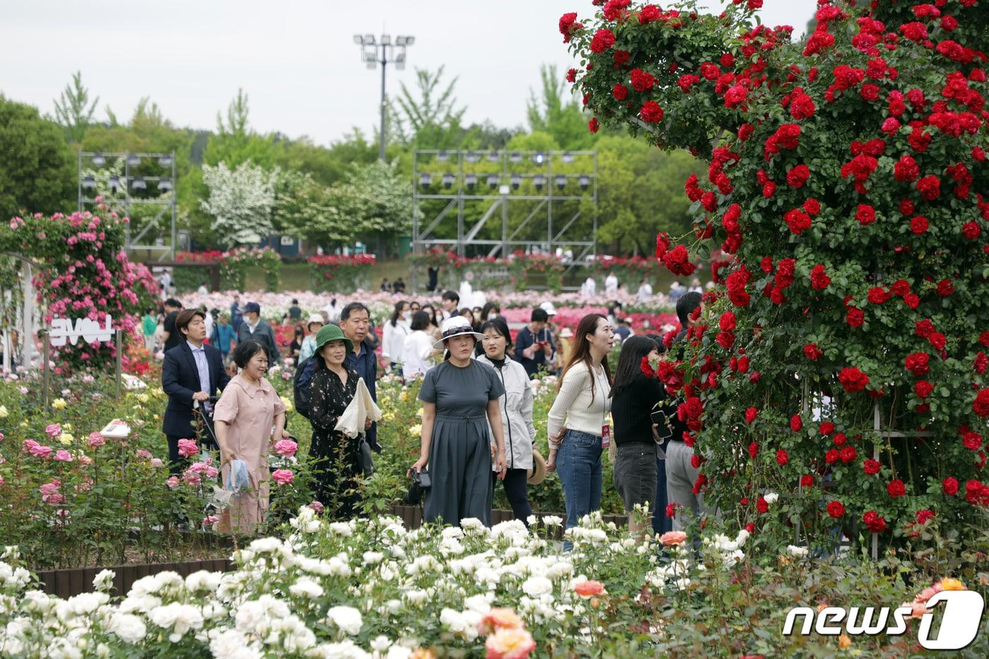 본문 이미지 - ‘2023 제15회 울산대공원 장미축제’가 24일부터 28일까지 5일간 울산대공원 장미원 일원에서 열린다. ‘러브스토리 인 울산’을 주제로 5만6174 ㎡규모 장미원에 265종 300만송이 장미꽃 향기를 만끽할 수 있다.2023.5.24/뉴스1 ⓒ News1 김지혜 기자